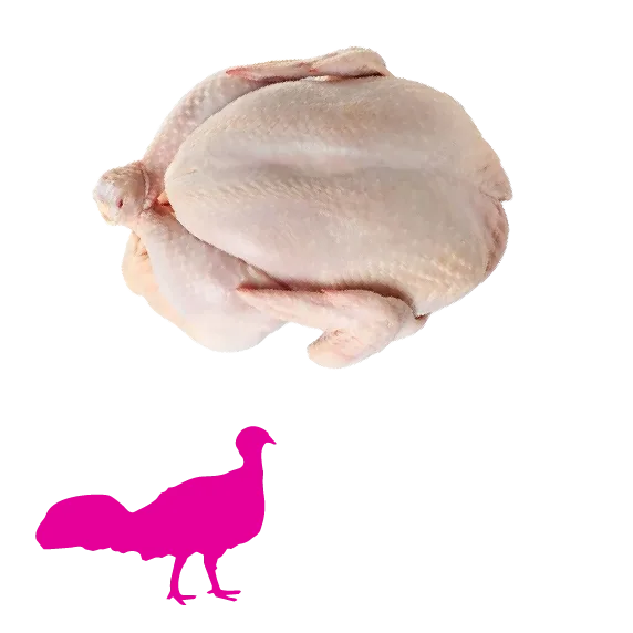 Baby krůta