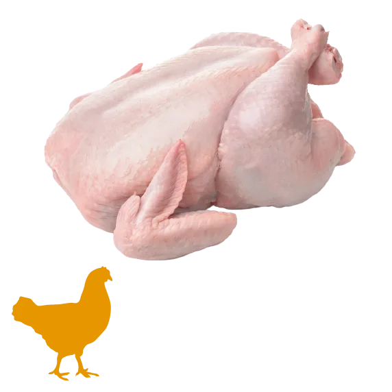 Farmářské kuře