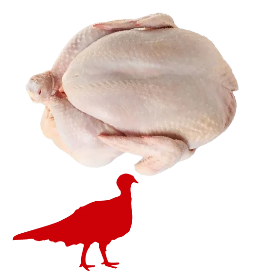 Vánoční krůta